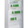 Торговый холодильник Бирюса 290Е